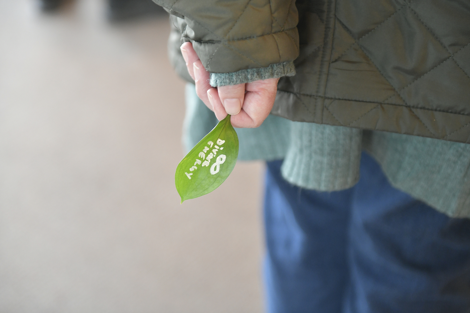 A healing ceremony for the forest was held at the Quogue Wildlife Refuge on March 20. Inspired by the work of Dr. Masaru Emoto, participants use the power of words, intention, and community to strengthen and protect the trees as they face the challenge of a southern pine beetle infestation.   DANA SHAW