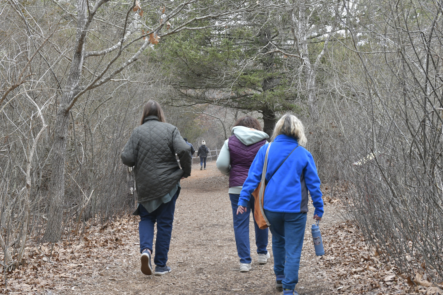 A healing ceremony for the forest was held at the Quogue Wildlife Refuge on March 20. Inspired by the work of Dr. Masaru Emoto, participants use the power of words, intention, and community to strengthen and protect the trees as they face the challenge of a southern pine beetle infestation.   DANA SHAW