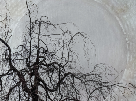 Shades of Winter Exhibition