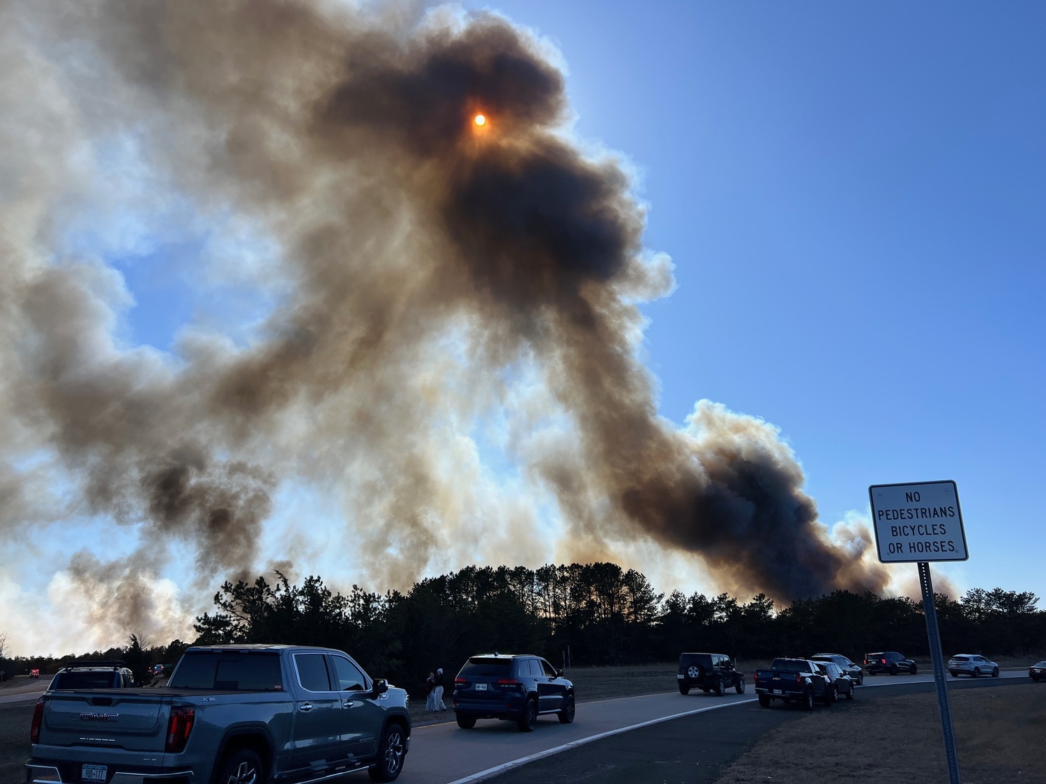 Western Southampton brush fire March 8, 2025. DANA SHAW