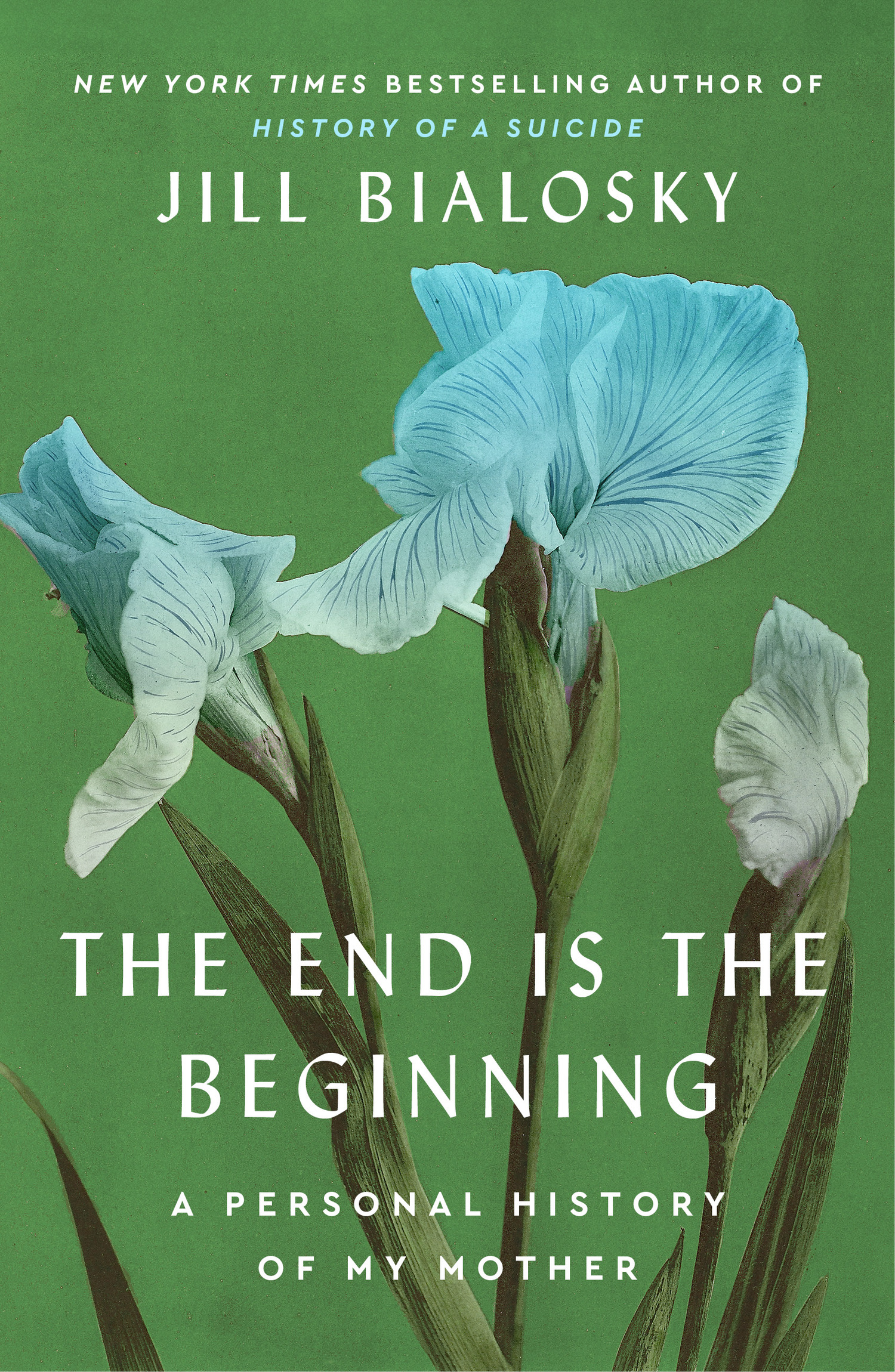 Jill Bialosky's book “The End Is the Beginning: A Personal History of My Mother.” COURTESY THE CHURCH