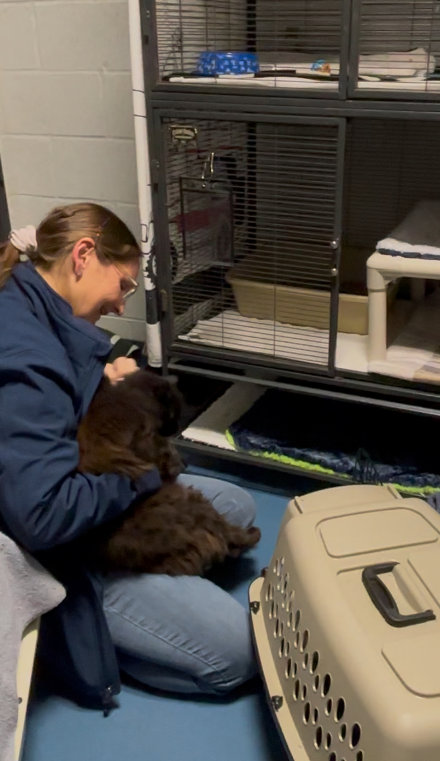 Cat coordinator Jill Mulvey of SASF with one of the cats rescued from the fire at the Happy Cat Sanctuary. COURTESY SASF