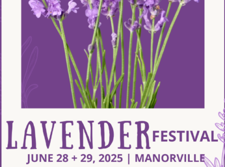 Hoshyla Farms Lavender Festival