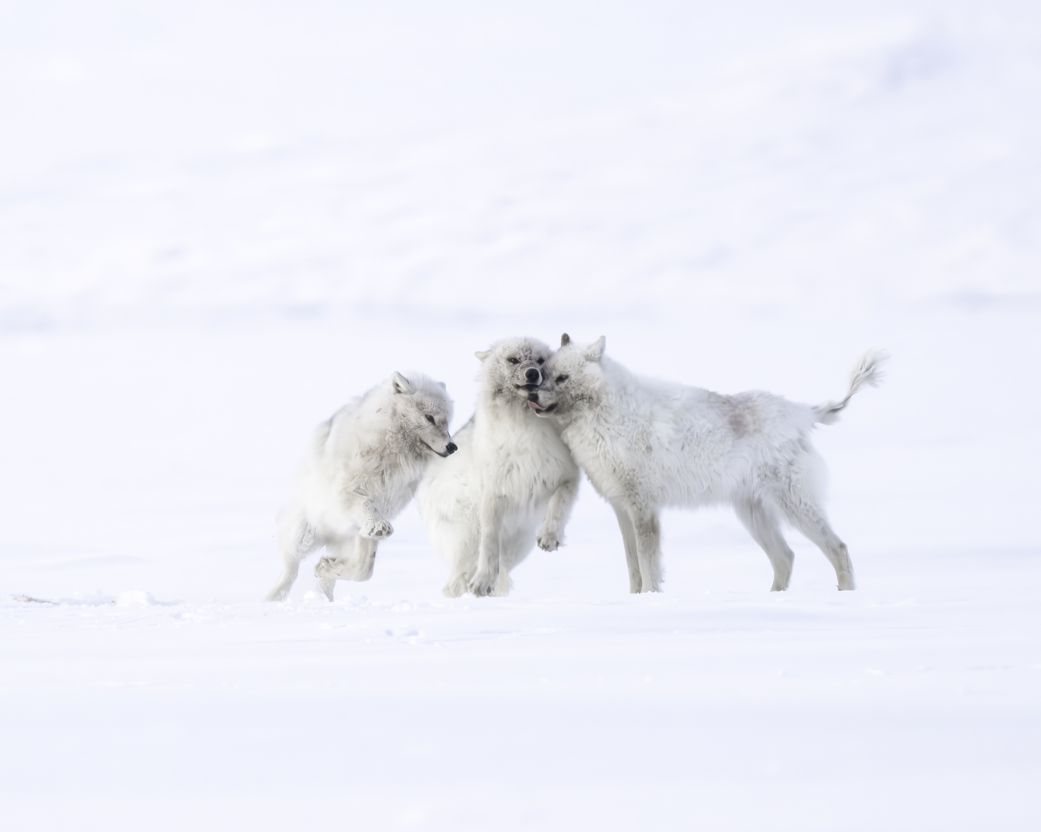 Happy together. MARIANNE BARNETT