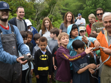 Black Racer Snake Search with Andy Sabin