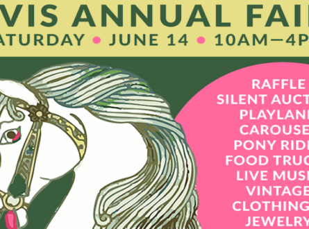 LVIS Annual Fair