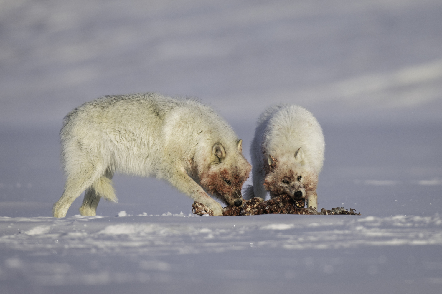Enjoying a meal. MARIANNE BARNETT
