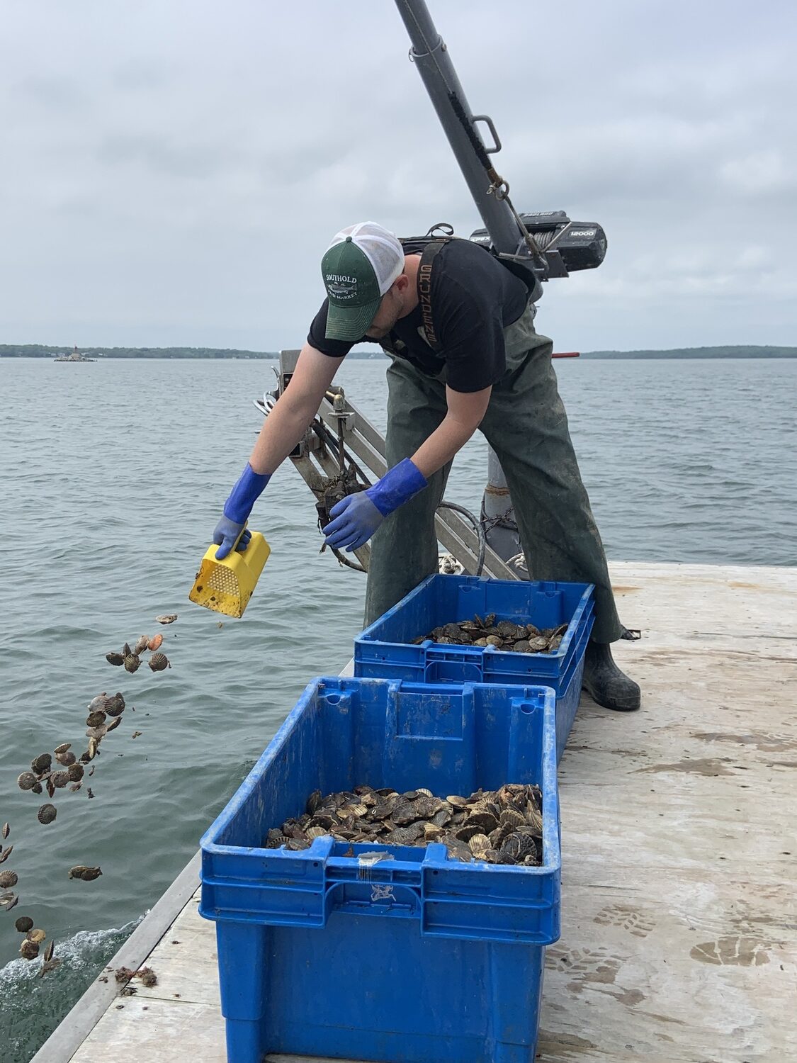 Mike Bunn scatters scallops. STEPHEN J. KOTZ