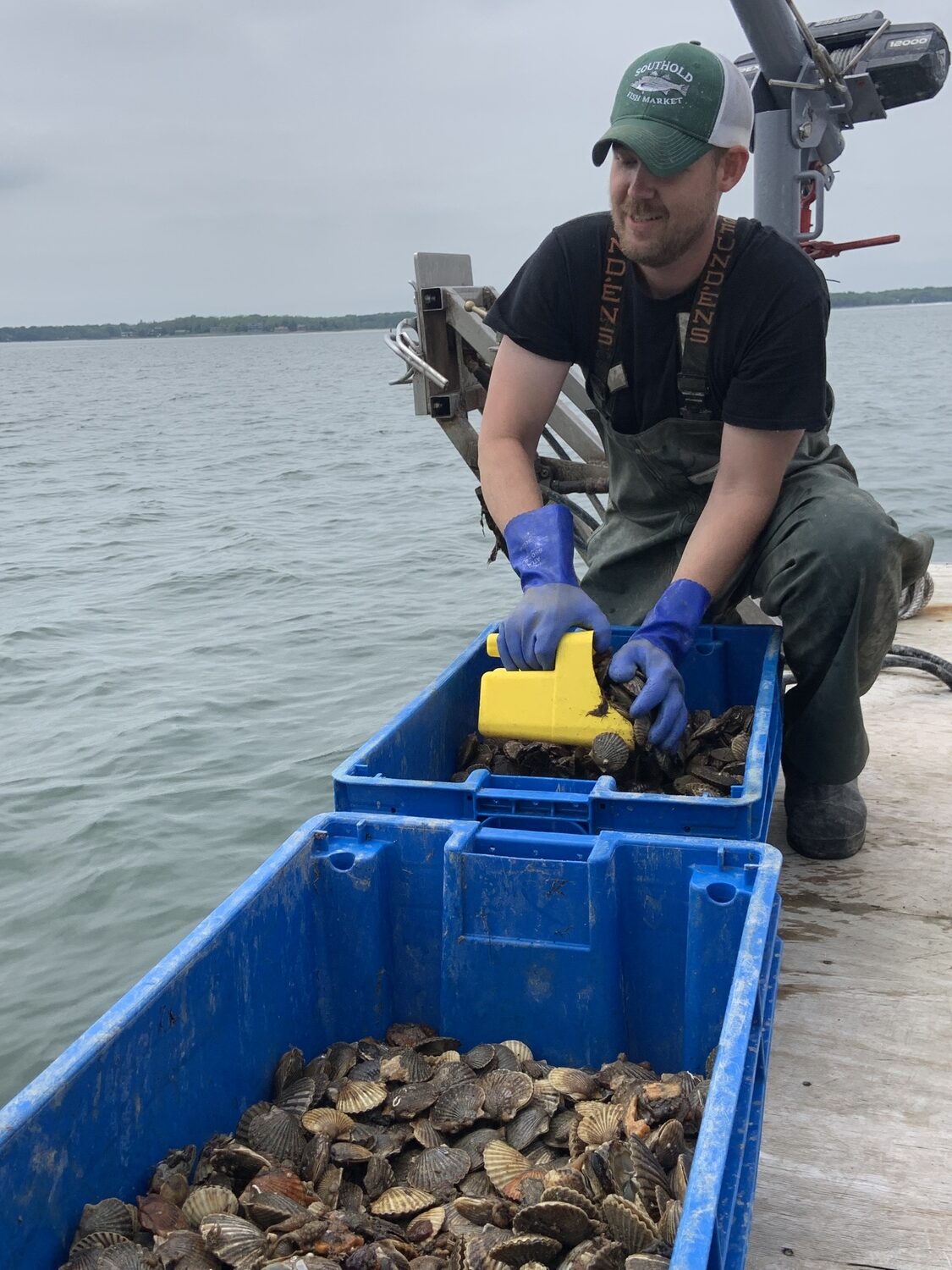 Mike Bunn scatters scallops. STEPHEN J. KOTZ