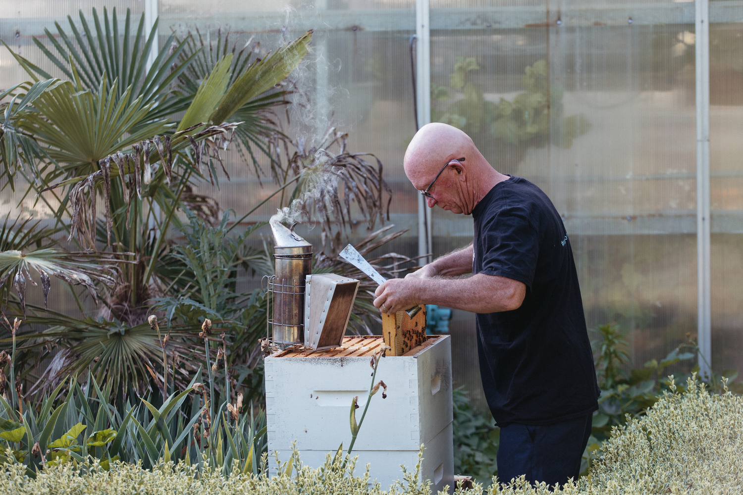 Beekeeper Chris Kelly.