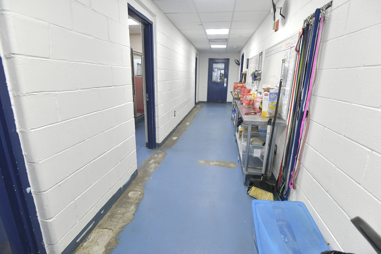 Much needed repairs to the floors will be made during the SASF renovation.  DANA SHAW