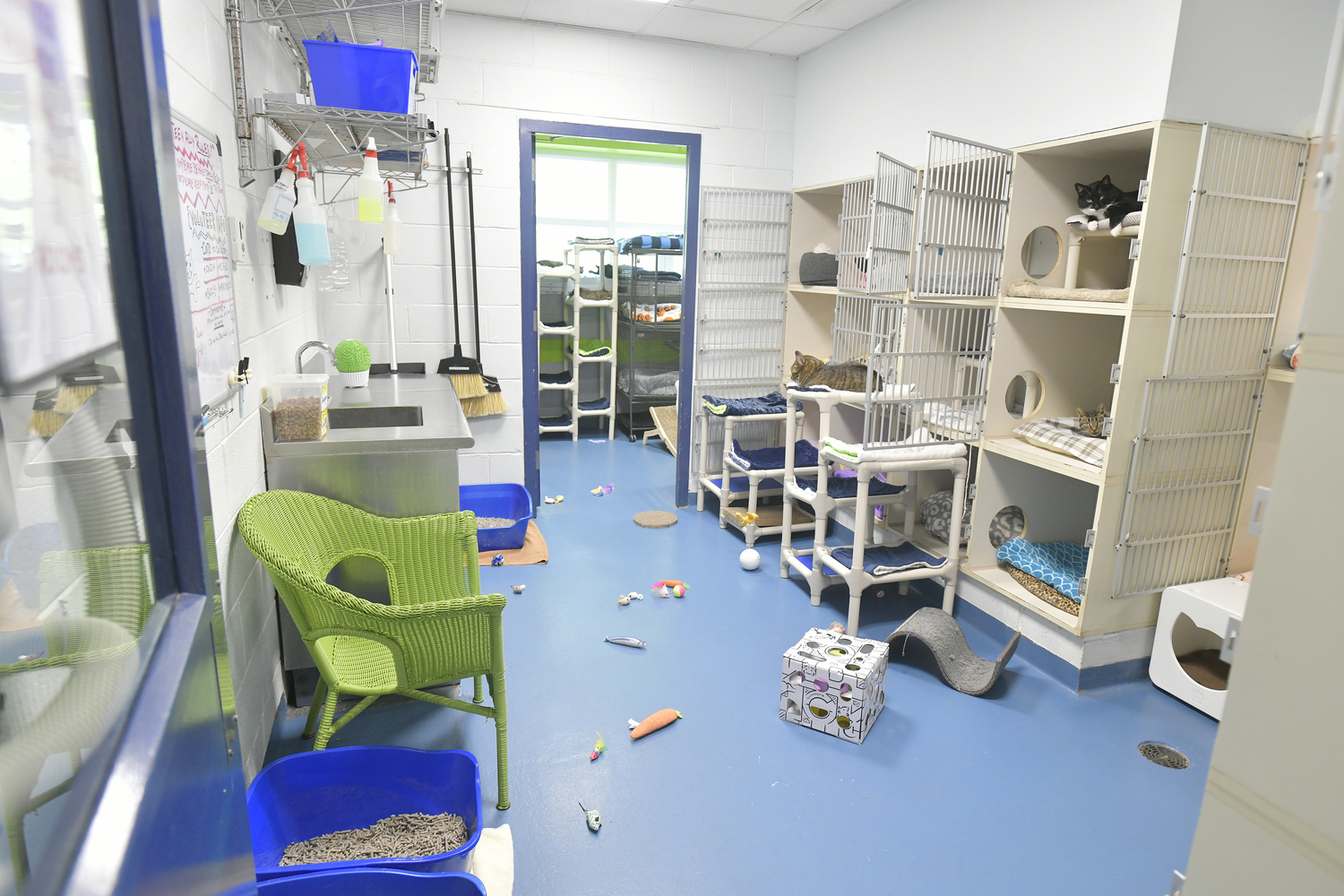 While the facility is closed, the rest of the a facelift, which will cost just over $500,000, which is separate from what the town is contributing, that the SASF needs to raise through it's summer gala and donations.  DANA SHAW