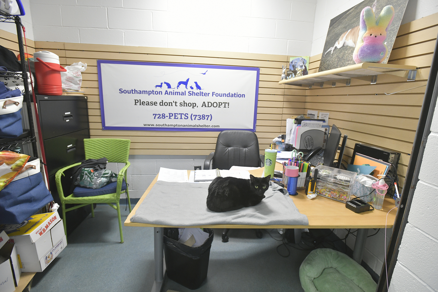 While the facility is closed, the rest of the building will get a facelift, which will cost just over $500,000. That amount is separate from what the town is contributing and the SASF will need to raise that amount with it's summer gala and donations.  DANA SHAW