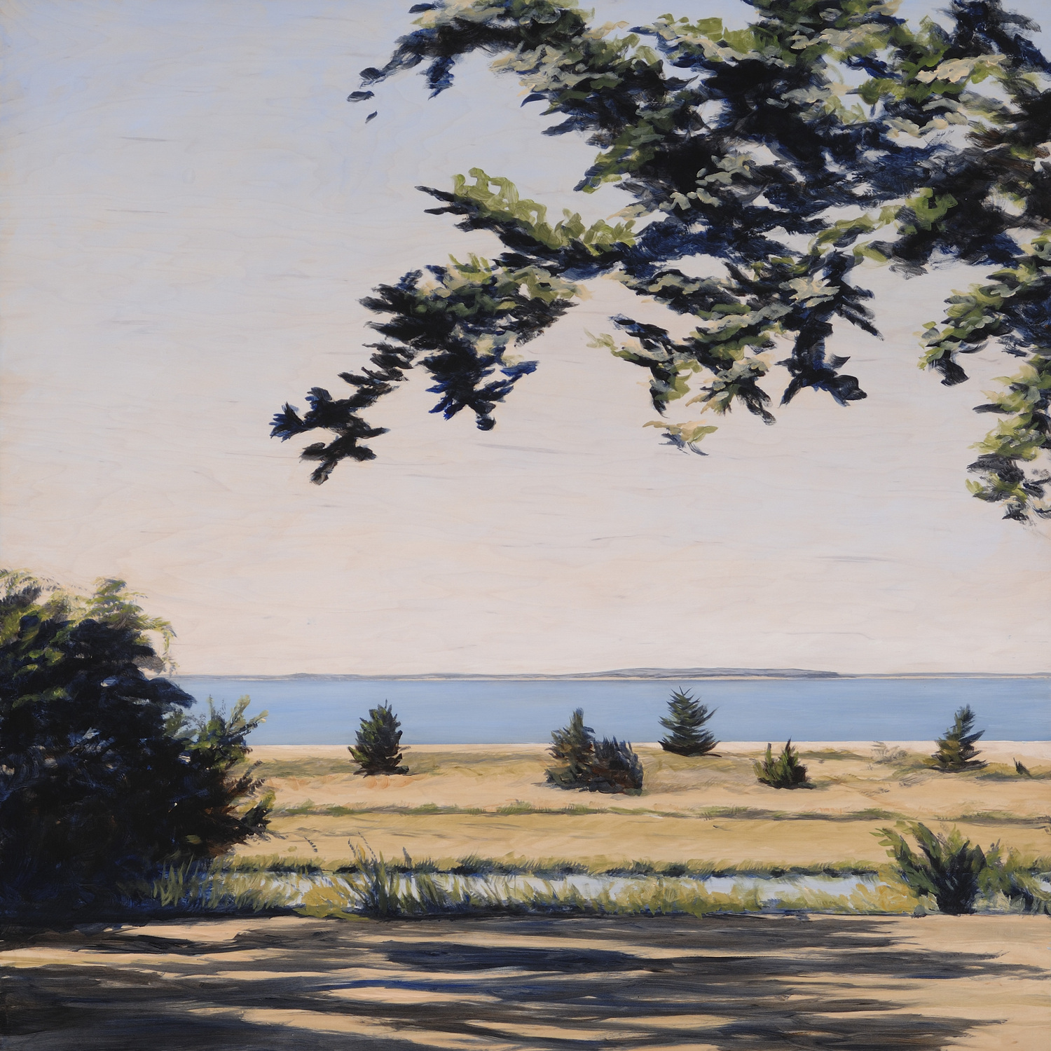 Eileen Dawn Skretch 