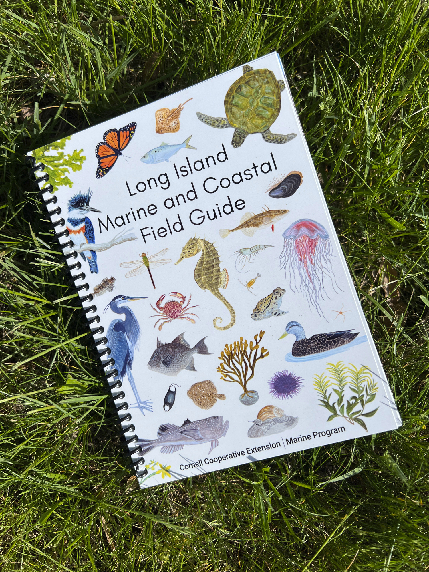 The Long Island Marine and Coastal Field Guide from the Cornell Cooperative Extension Marine Program and the Back to the Bays Initiative.