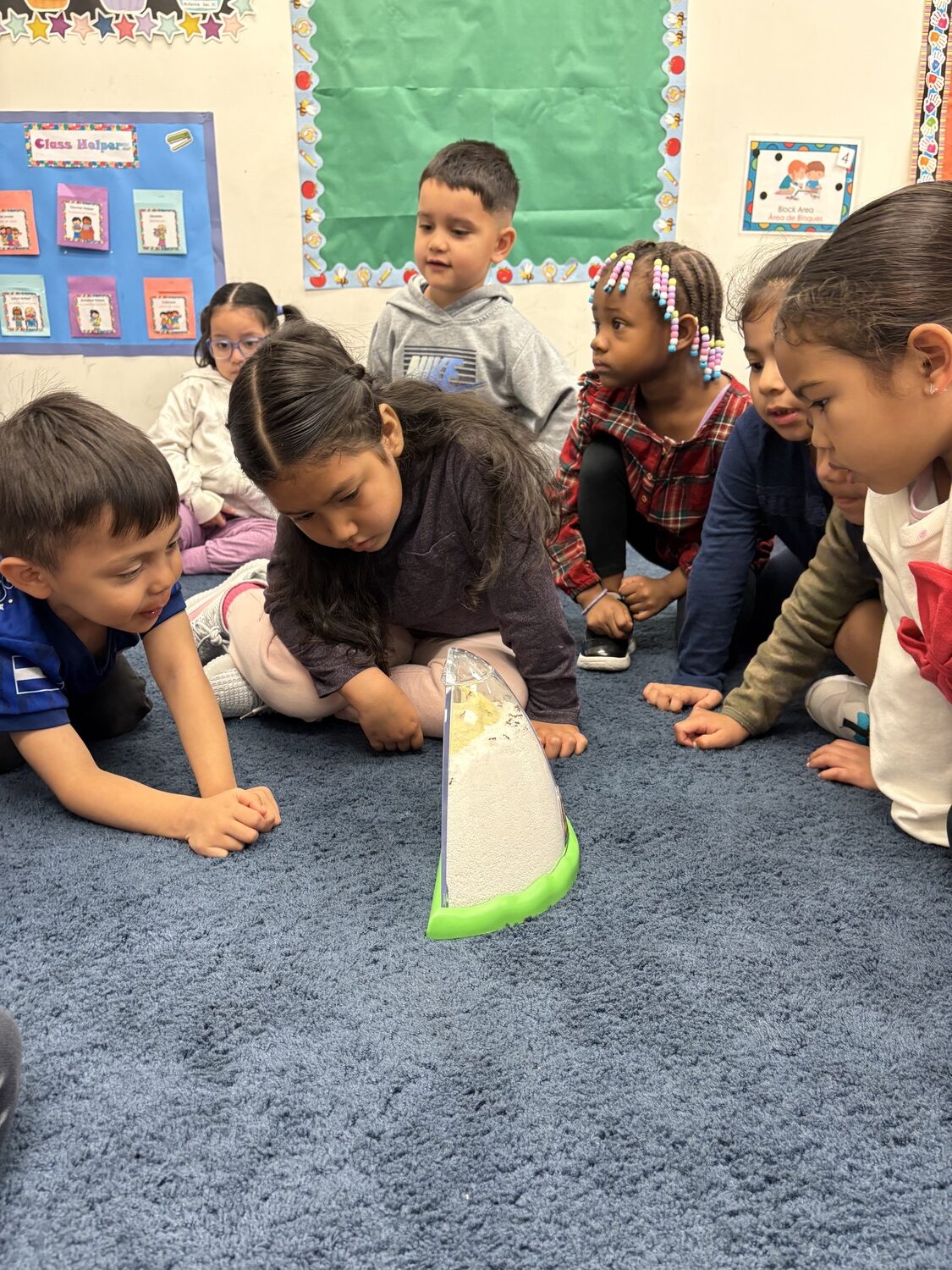 Students learning about ants at the Southampton Head Start Center in Riverhead. CAILIN RILEY