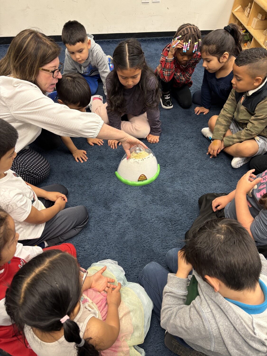 Students learning about ants at the Southampton Head Start Center in Riverhead. CAILIN RILEY