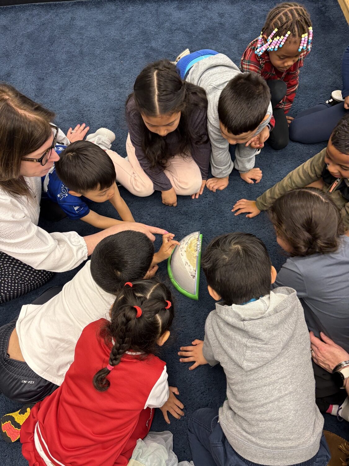 Students learning about ants at the Southampton Head Start Center in Riverhead. CAILIN RILEY