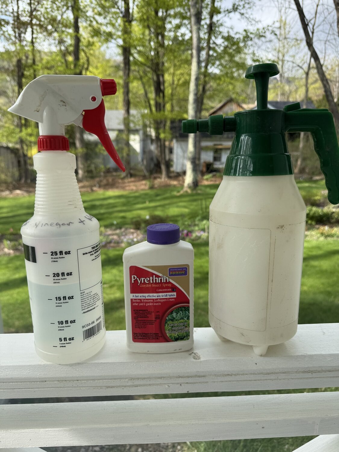 Bonide’s pyrethrin concentrate (not ORMI certified, but the Monterey is) is very
effective on garden insects but should be used with great care as it’s nonselective and
kills good bugs as well as bad ones. The good news is that it becomes inert shortly after
applying. It can be applied in small batches with a trigger sprayer (left) or a small
compression sprayer (right).  ANDREW MESSINGER