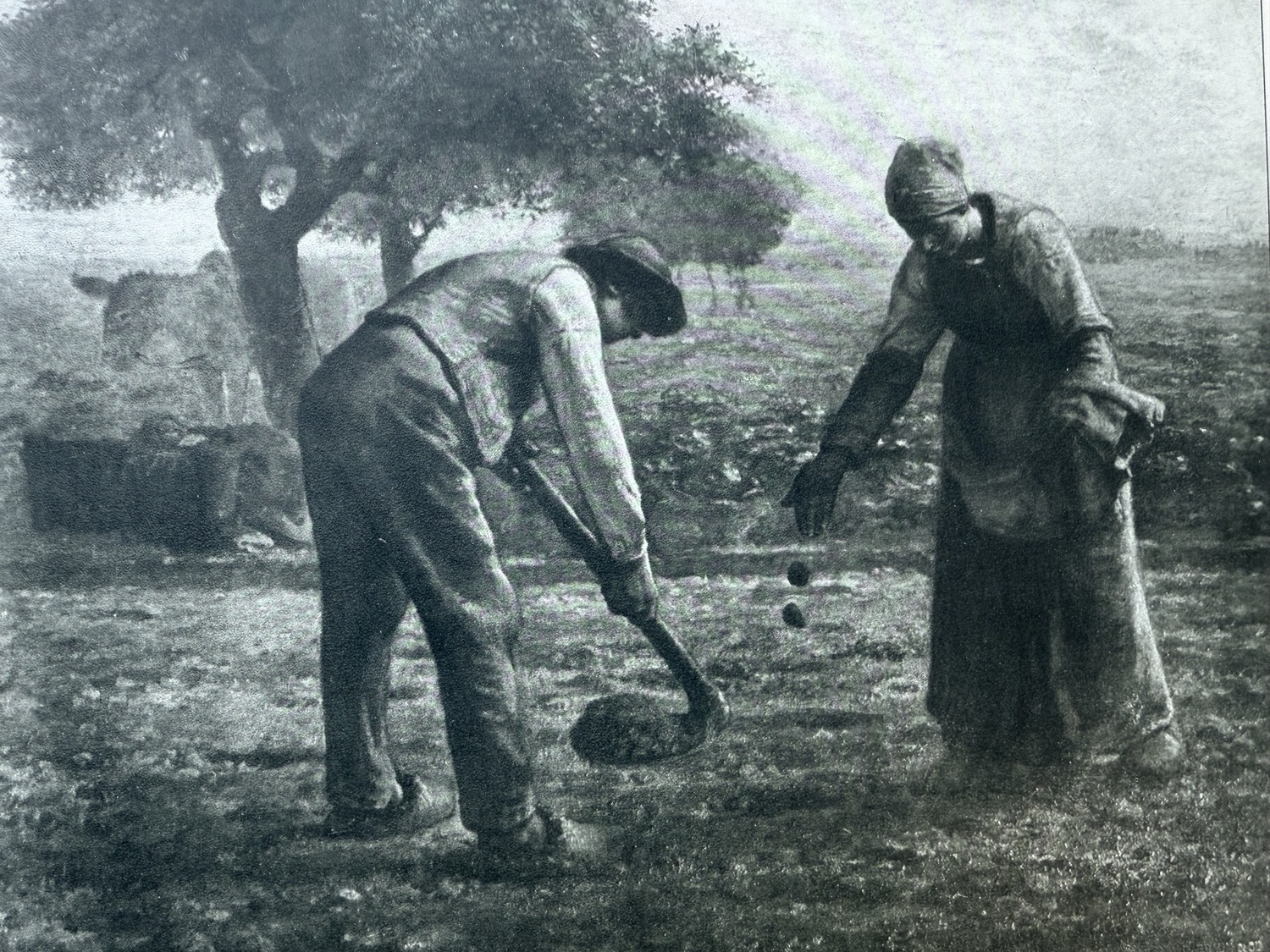 Potato Planting by Jean-Francois Millet.