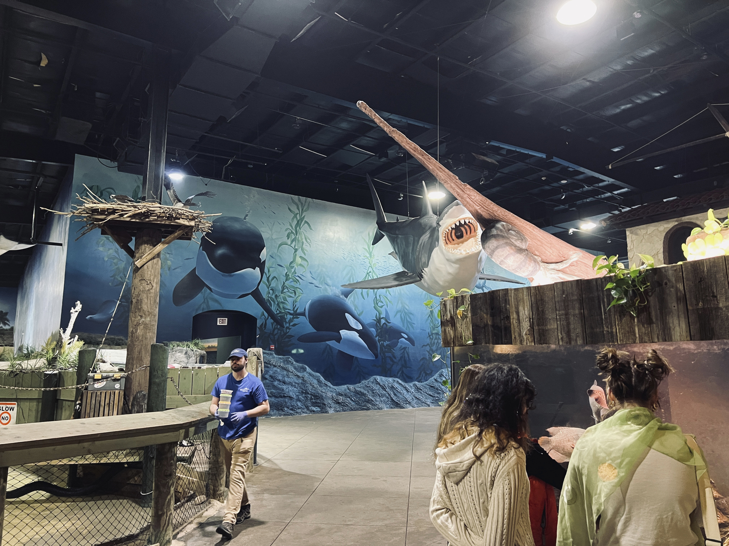 Long Island Aquarium is celebrating its 25th anniversary. DANA SHAW