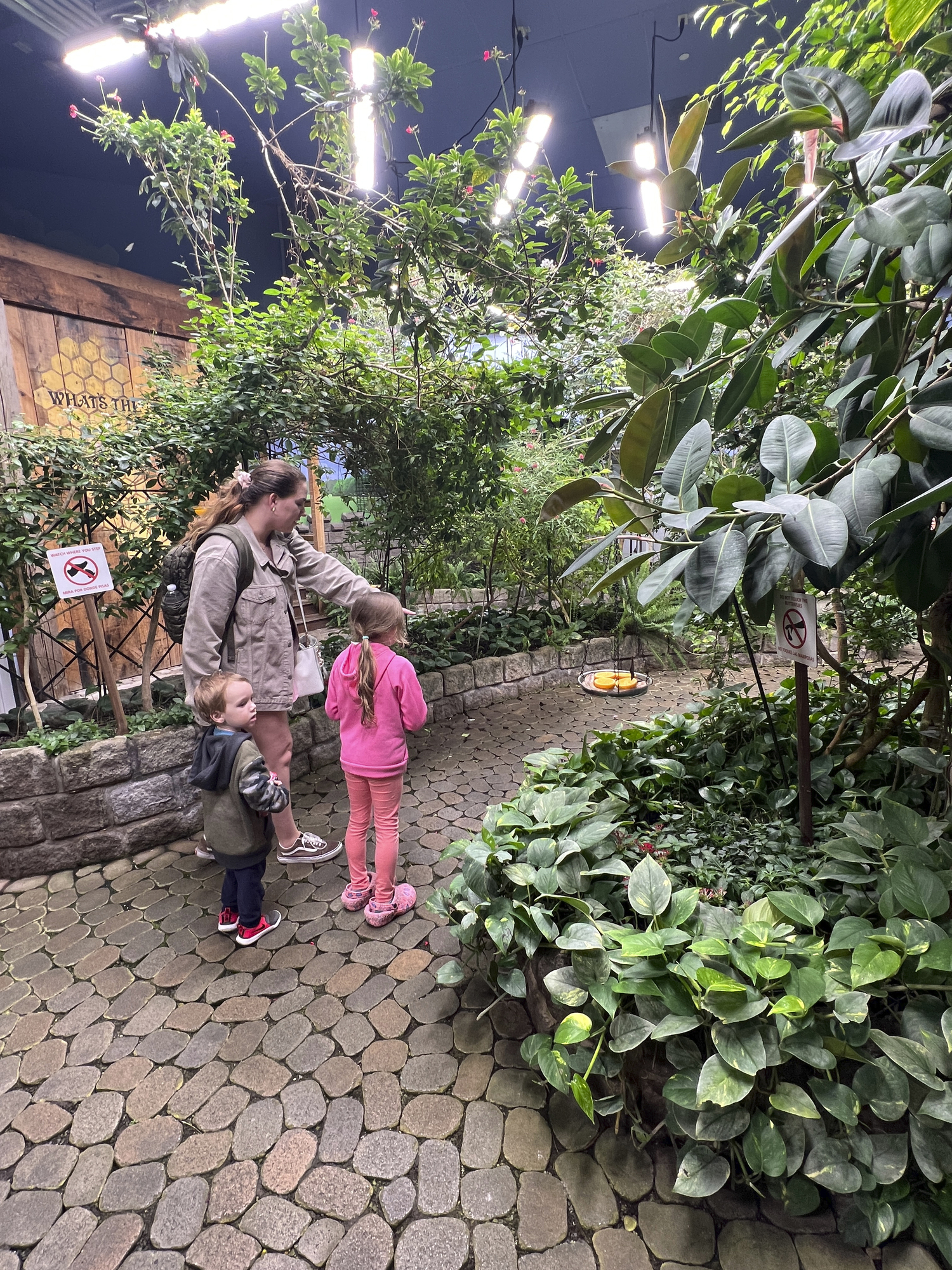 Getting up close and personal with butterfilies in the butterfly exhibit.  DANA SHAW
