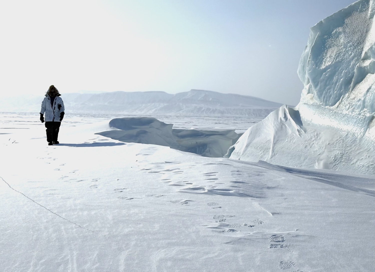 The High Arctic. MARIANNE BARNETT