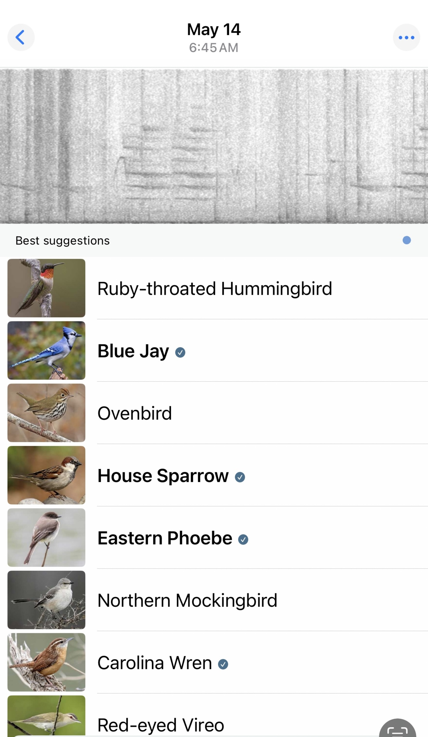 Bird songs captured in the Merlin Bird ID app on May 14.   MARIANNE BARNETT