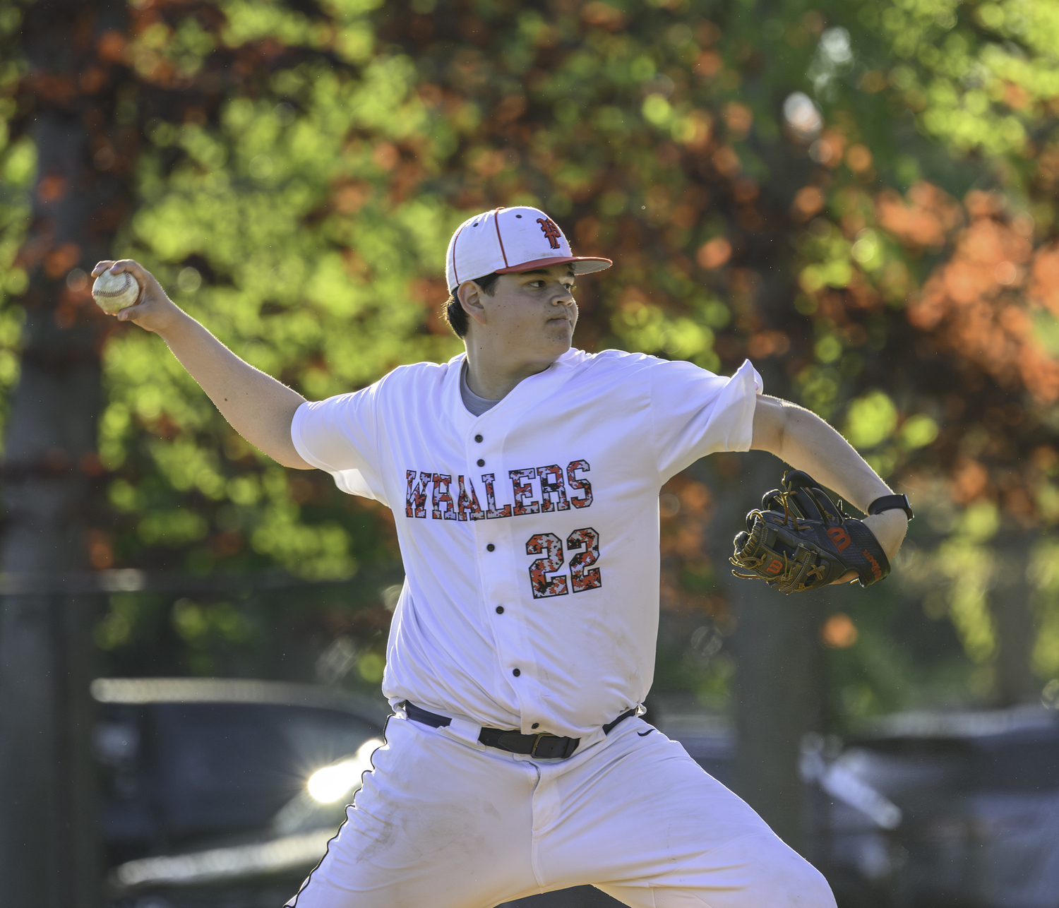 Pierson senior Paul Roesel on the mound.   MARIANNE BARNETT