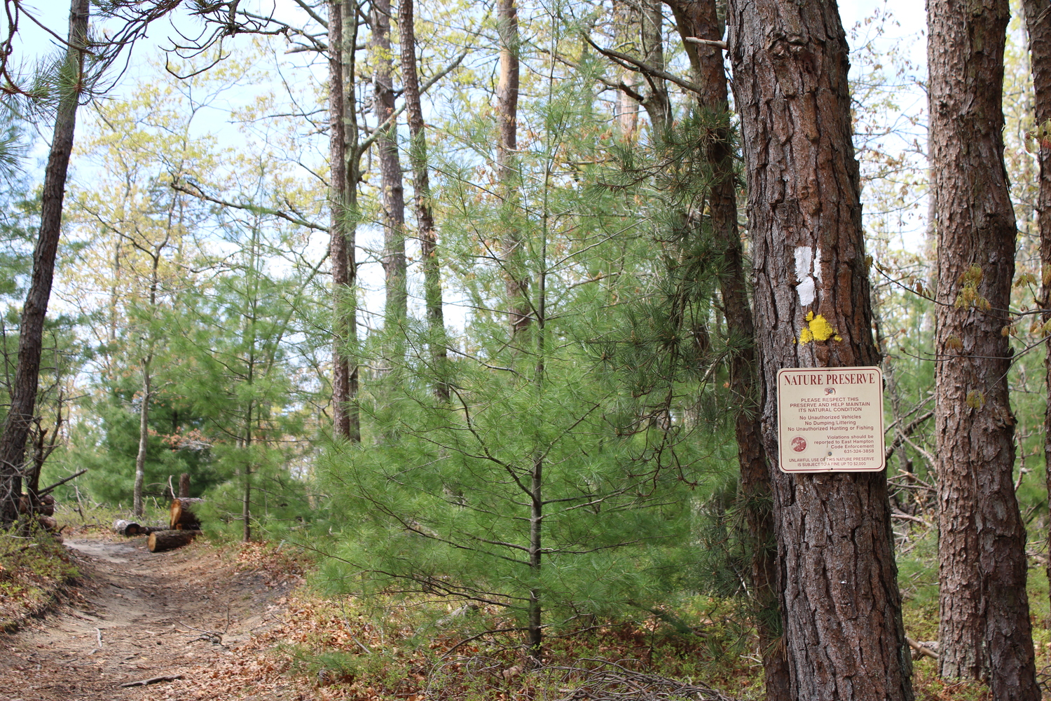 East Hampton Town was looking to purchase a 6-acre parcel of land from Suffolk County. Before hitting a roadblock, the intent was to develop the land into affordable housing. JACK MOTZ