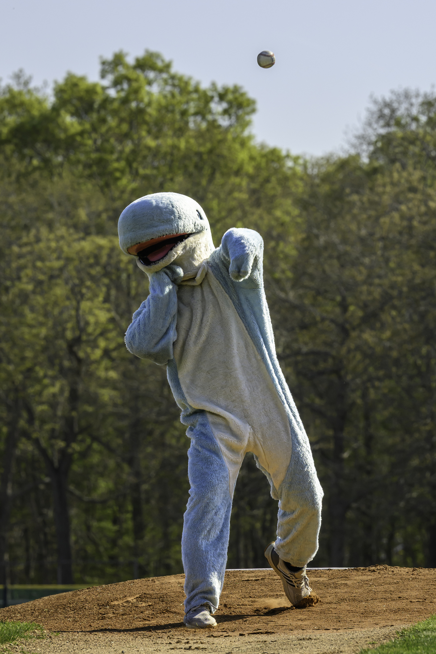 The Pierson Whale throws out the first pitch just prior to the varsity baseball game on Friday at Mashashimuet Park.   MARIANNE BARNETT