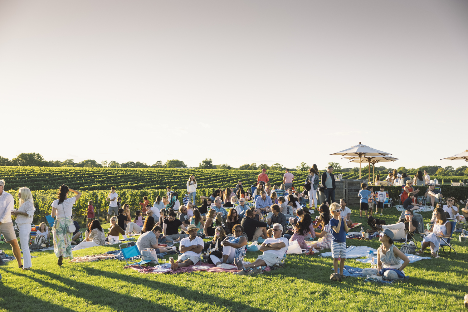 The Wölffer Estate Wine Stand lawn. MARK WEINBERG