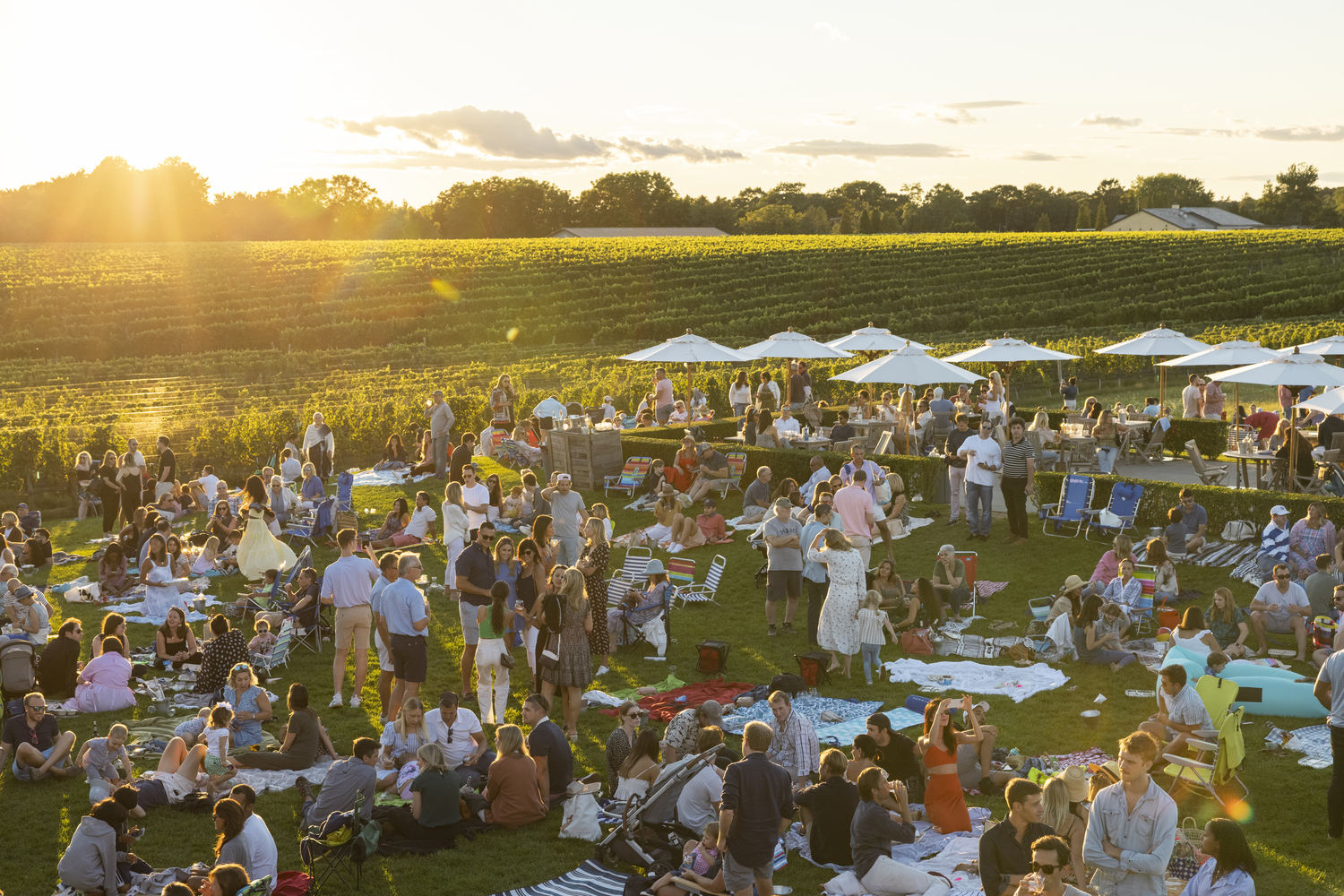 The Wölffer Estate Wine Stand lawn at sunset. MARK WEINBERG