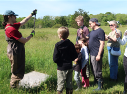 Black Racer Snake Walk and Talk