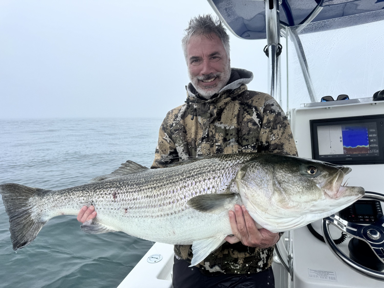 Big stripers are here.