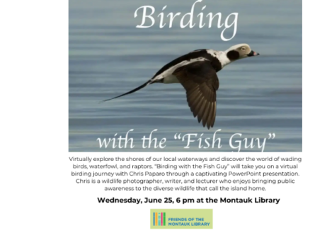 Birding with the Fish Guy