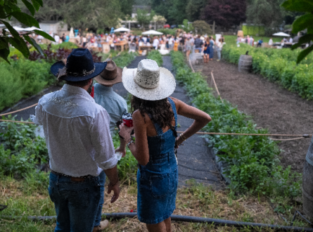 Amber Waves Hoedown Fundraiser