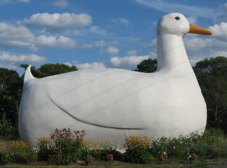 Summer Tag Sale at Big Duck Ranch