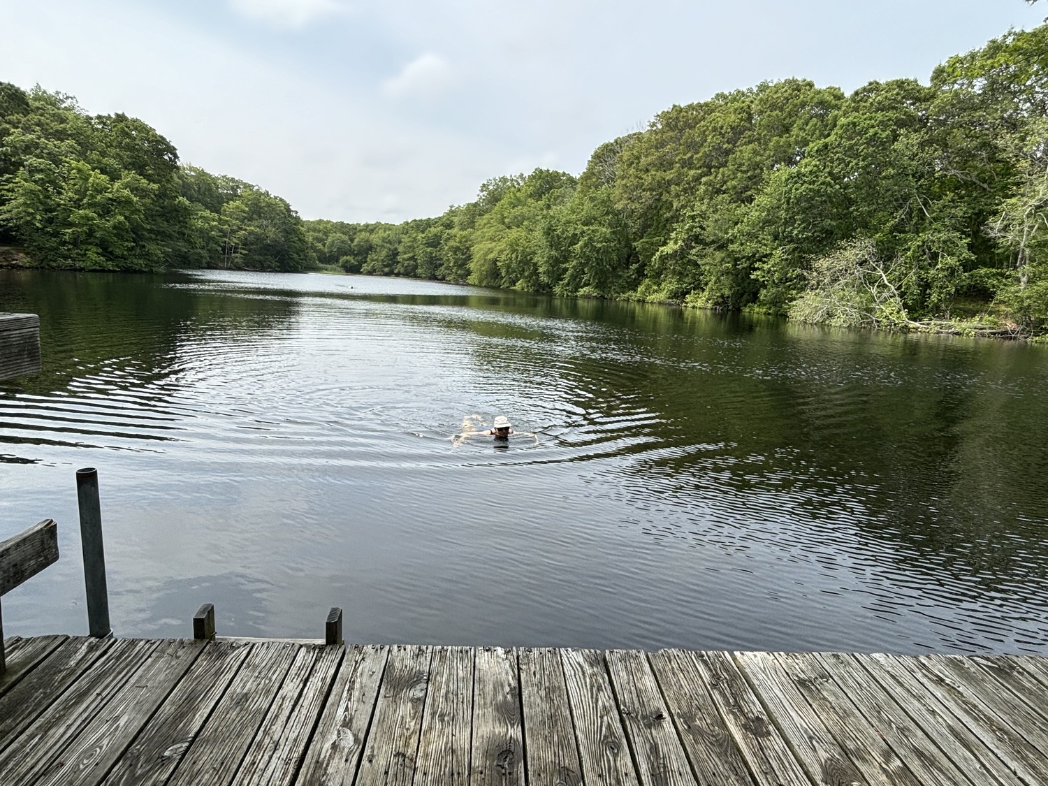 Sag Harbor resident Blair Seagram starts swimming in April at Trout Pond. Fresh water swimming, especially when its cool, has been shown to improve cognitive function, blood pressure, mental health and sleep quality. JENNY NOBLE