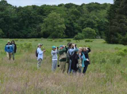 Birds of the Meadow and Woods─Eric Salzman Memorial Bird Walk