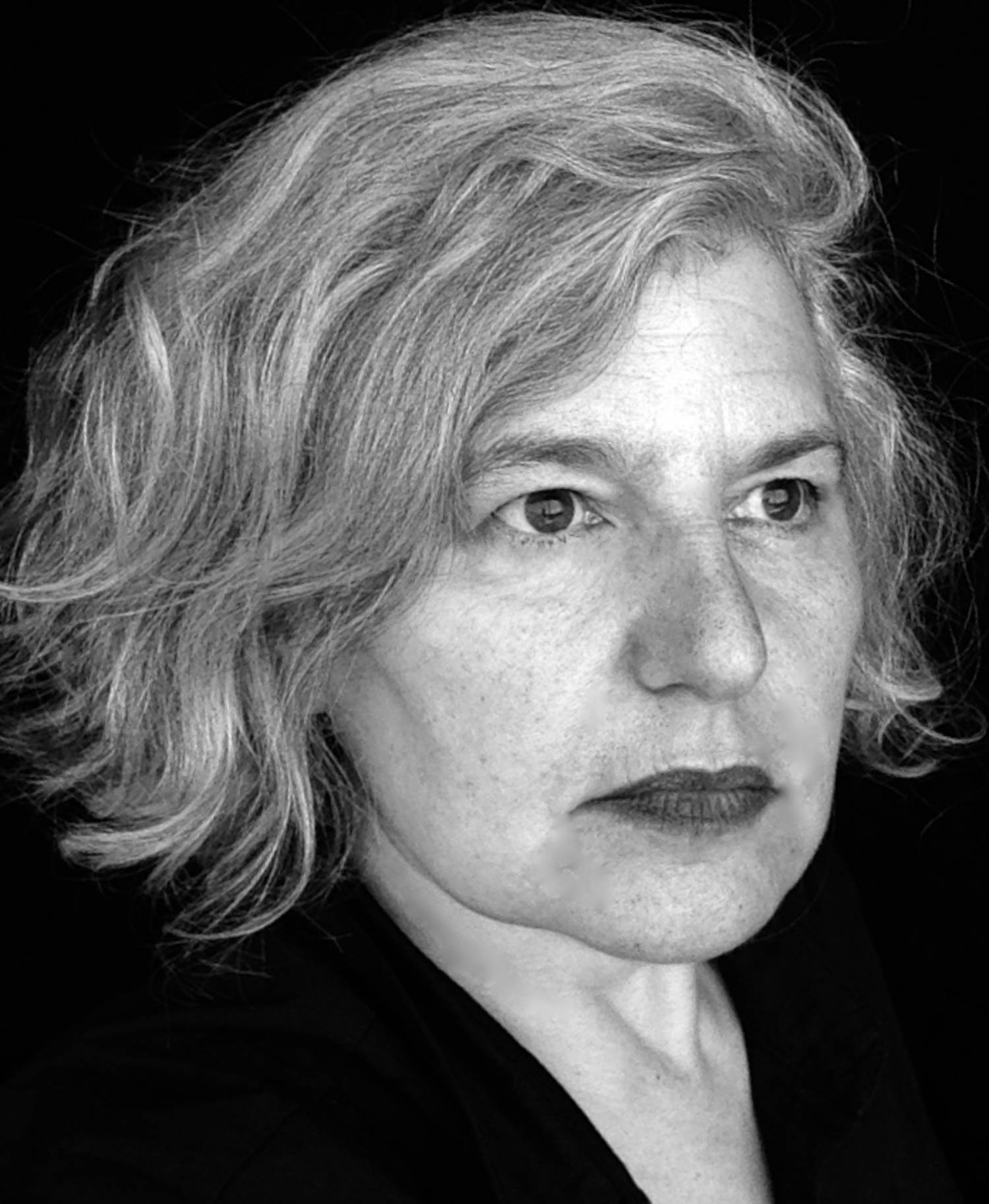 Amy Sillman, 