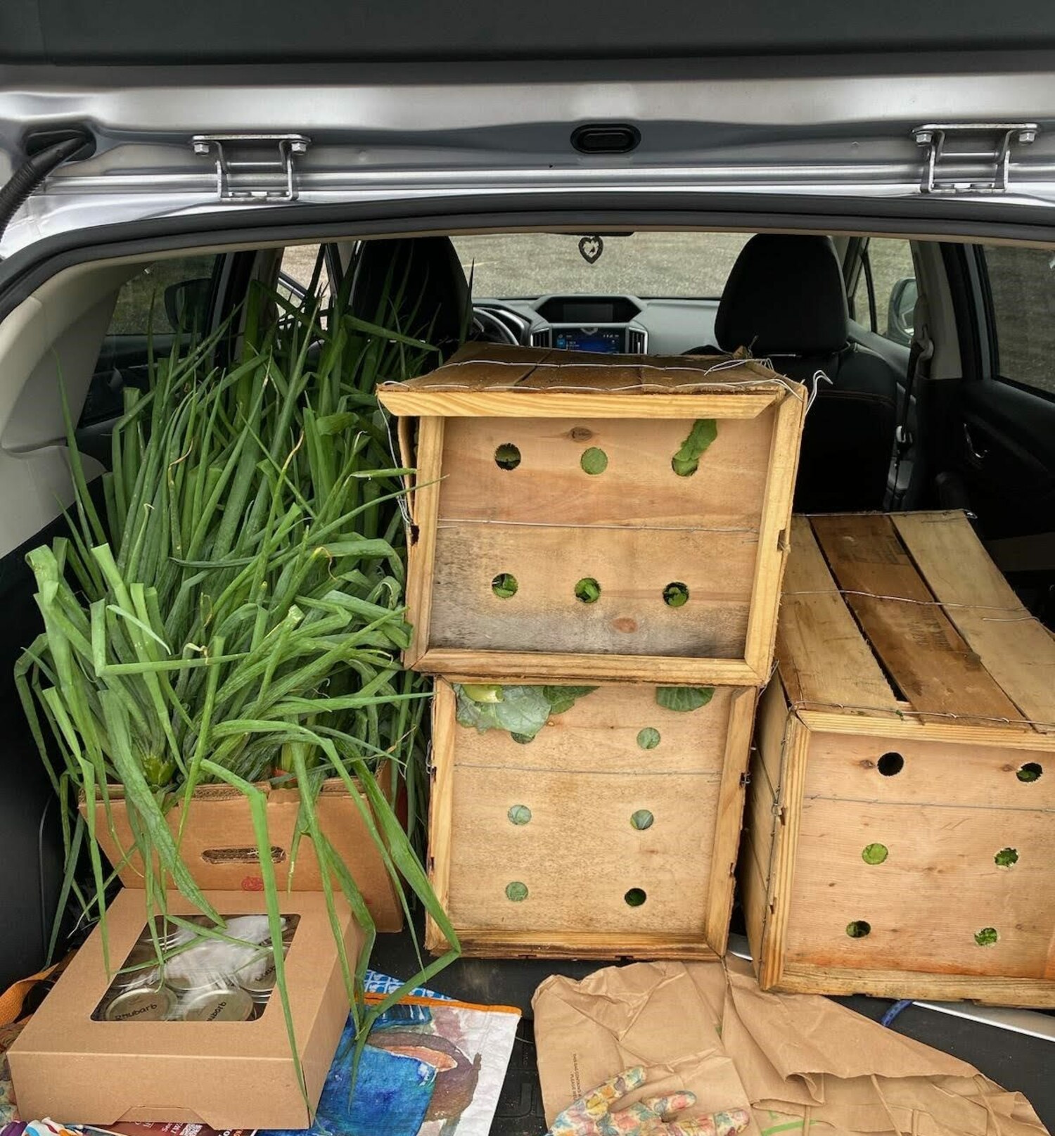 Crates of vegetables, donated by Garden of Eden Farm in Riverhead.