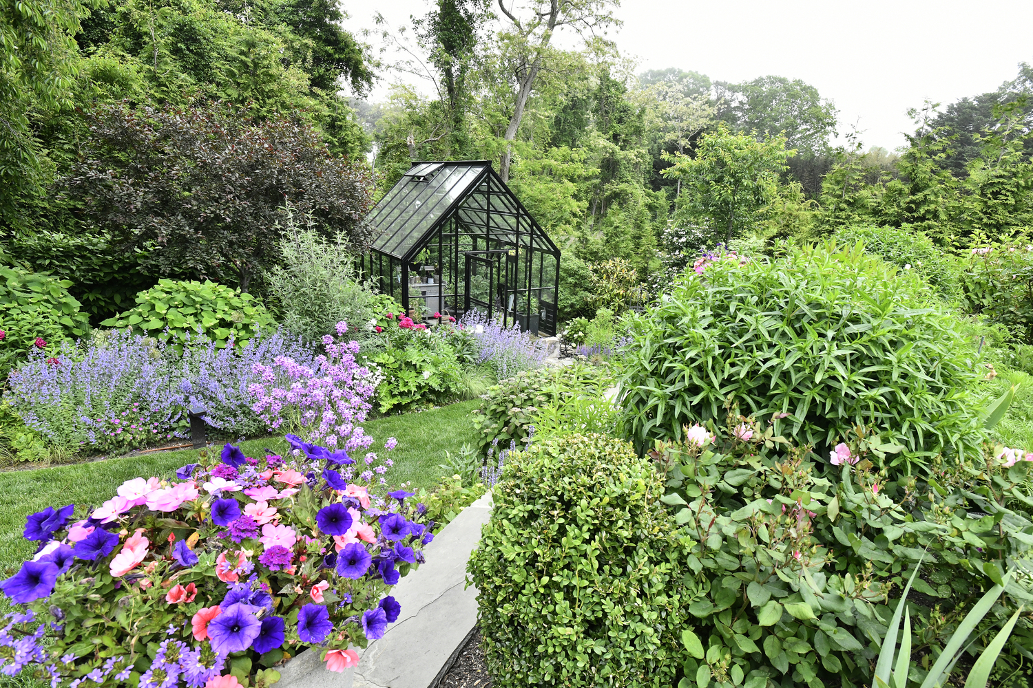 The garden area.  DANA SHAW