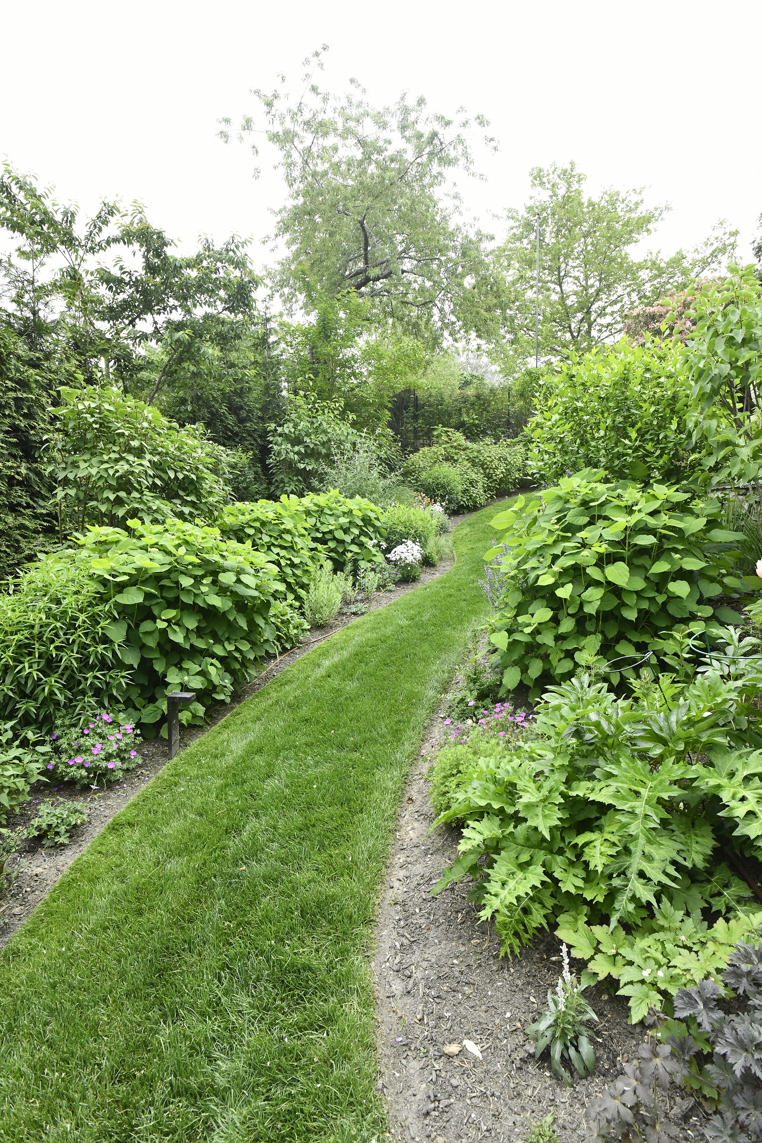 The garden area.  DANA SHAW