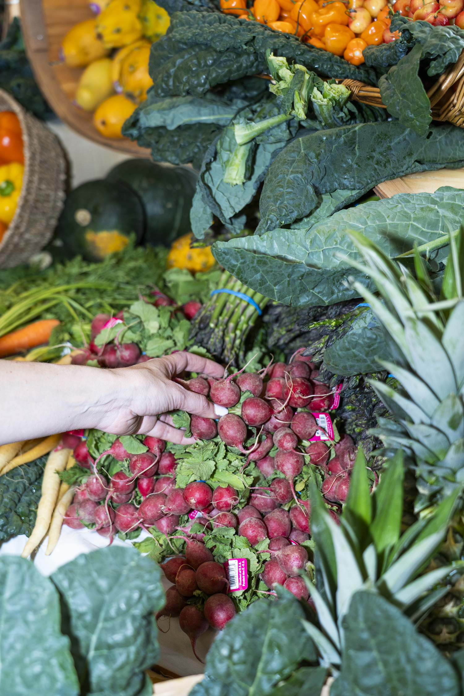 FreshDirect, an online grocer, opened its first-ever retail store last Saturday in Southampton. A reception featured light bites, drinks and live entertainment. COURTESY FRESHDIRECT