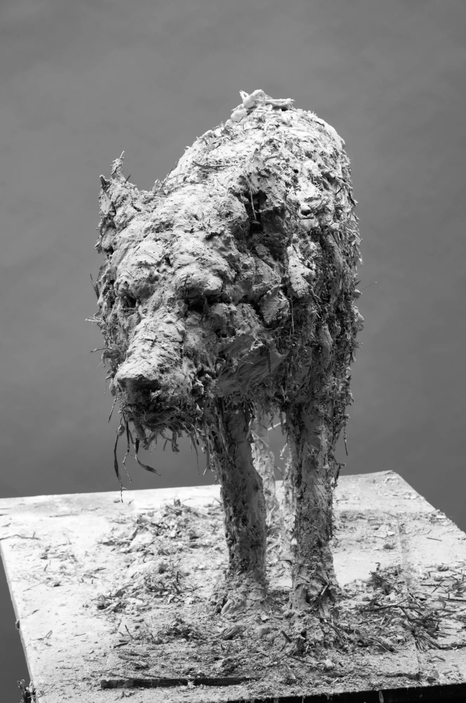 Nicola Hicks, 