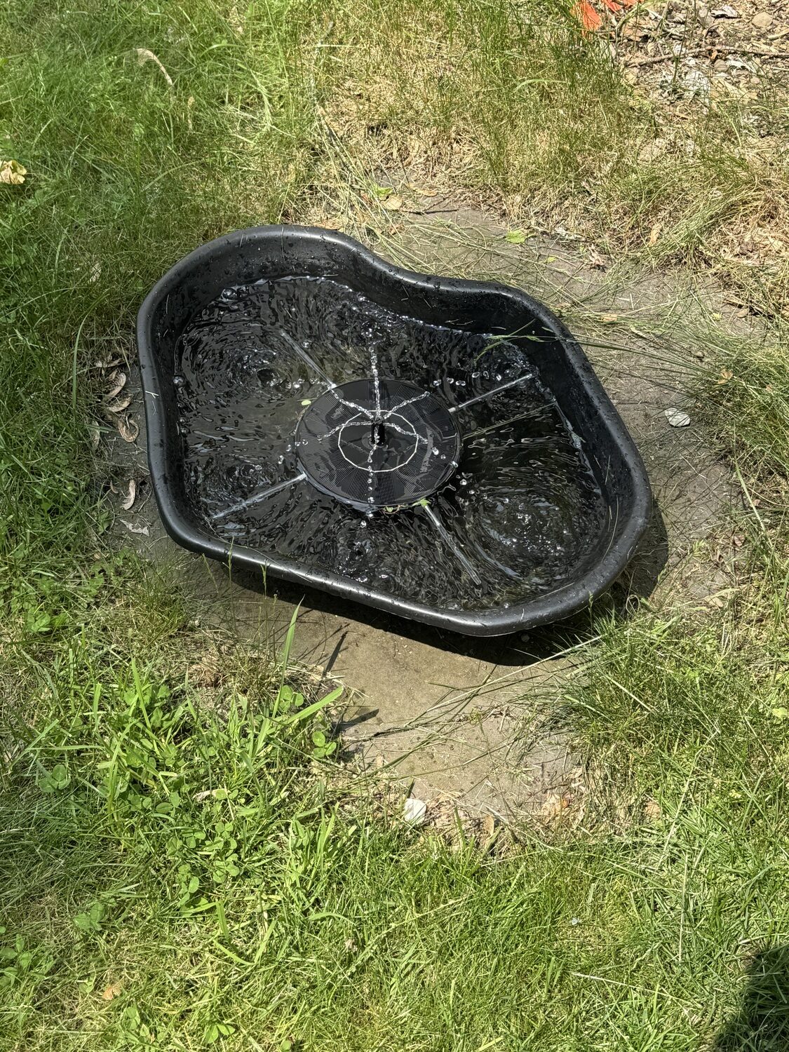 Several years ago I bought this small plastic pond to double as a bird bath. In the pond is a $10 solar powered aerator that keeps the water “fresh” and mosquito free though I do add Mosquito Bits just to be sure. There are four legs extending to the sides so the aerator can’t shoot water outside the pond. Great for bird baths and small water features. ANDREW MESSINGER
