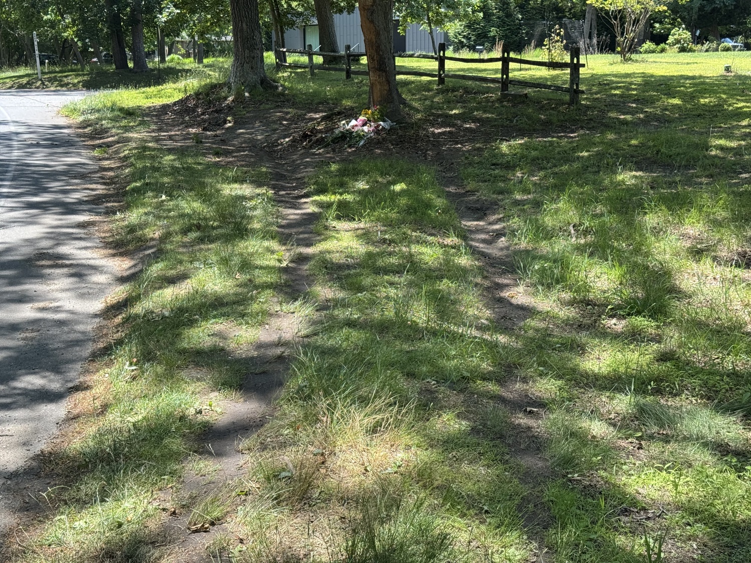 Tracks in the grass lead to the tree that the vehicle crashed into.  T.E. McMORROW