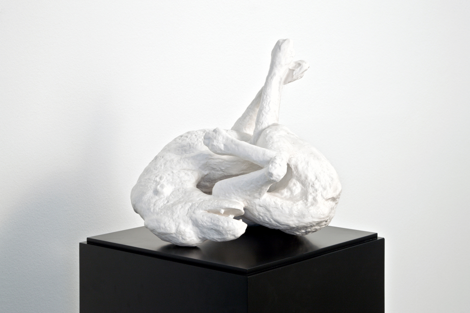 Allan McCollum, 