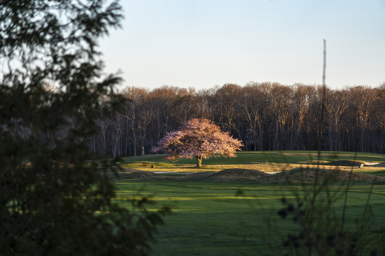 The Southampton Golf Club.  JEFF BERTCH